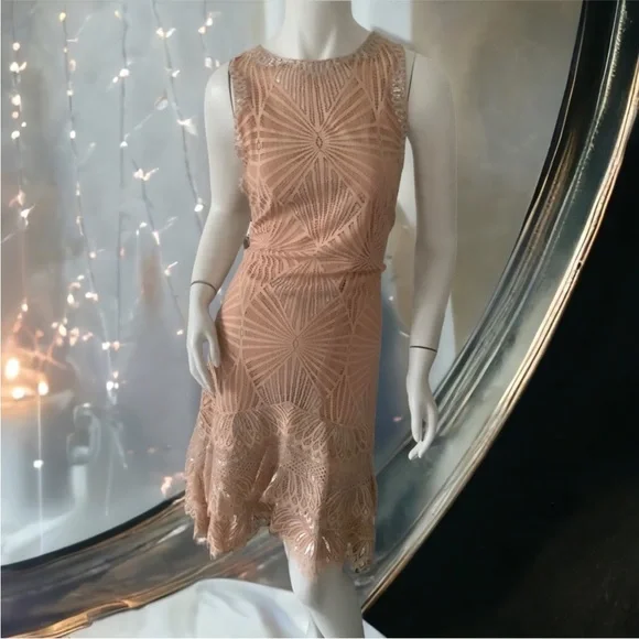 jonathan simkhai metallic dress NWT $595 JONATHAN SIMKHAI Mallory Metallic Animal-Print Cocktail Dress Sz 4